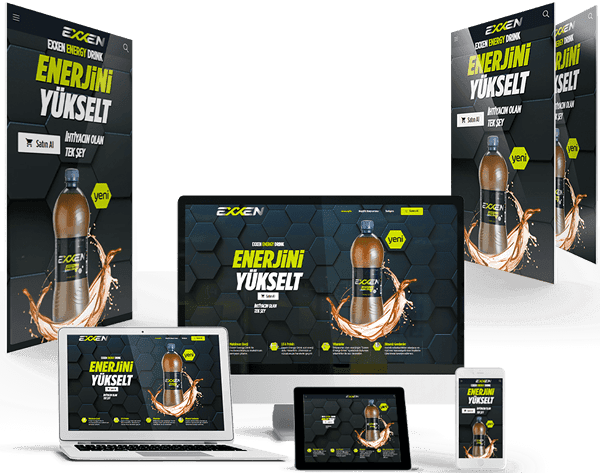 Profesyonel Web Tasarımı